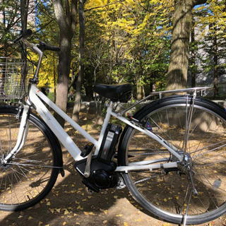 フライ 1/32 フォード カプリ RS ターボ ニュルブルクリンク DRM