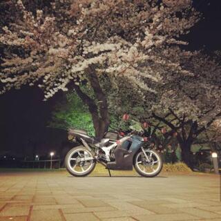 HONDA NS-1 実働 乗って帰れます！