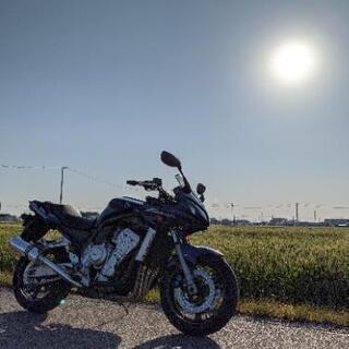 FZS1000