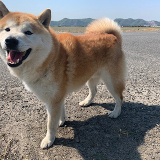 グルチャ大募集　岡山県　限定　現在47名