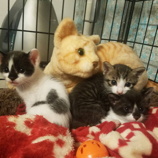 ⭐️募集一旦停止中⭐️