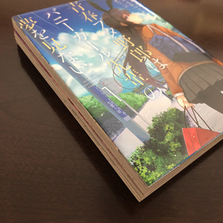 【SOLD OUT】青春ブタ野郎はバニーガール先輩の夢を見ない 1・2巻(完結)の画像