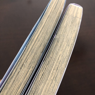 【SOLD OUT】青春ブタ野郎はバニーガール先輩の夢を見ない 1・2巻(完結)の画像