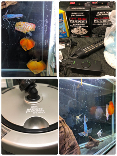 熱帯魚▱海水魚▱水槽セット▱Aqua System▱アクアシステム▱w900cm▱水槽▱水槽セット