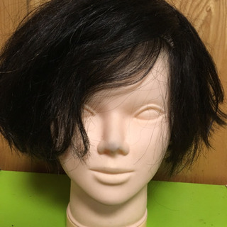 ヘアカット練習用のマネキンの頭