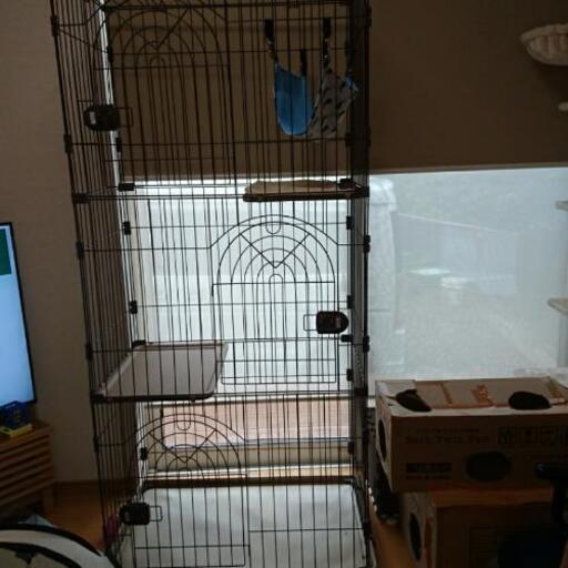 猫ゲージ 3段