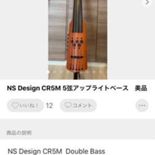 NS Design CR5M 5弦アップライトベース　美品