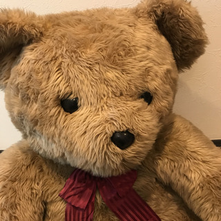テディベアぬいぐるみの画像