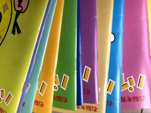 七田式パイナップルキッズ(4〜5歳向け)