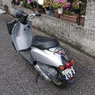 ホンダ Today (50ccスクーター)の画像
