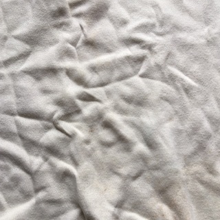 080 ラコステポロシャツの画像