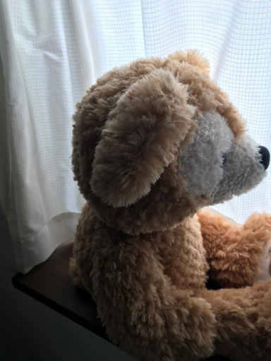 ★御成約★ダッフィーぬいぐるみMサイズ（限定品）