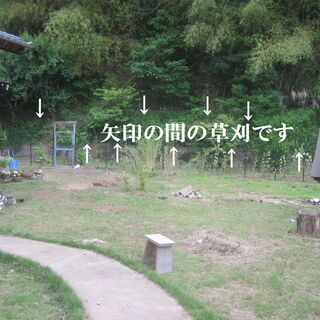草刈　半日（3時間程度）5千円