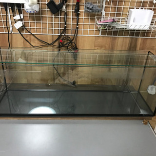 コトブキスリム水槽90センチ