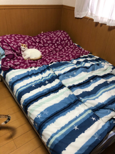 無印良品★ダブルベッド