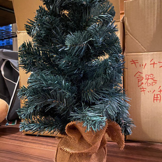 クリスマスツリー（飾り無し）