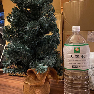 クリスマスツリー（飾り無し）の画像