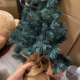 クリスマスツリー（飾り無し）の画像