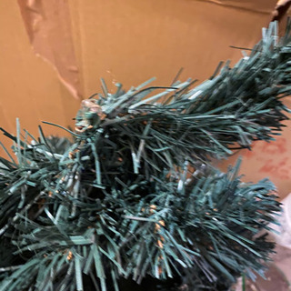 クリスマスツリー（飾り無し）の画像