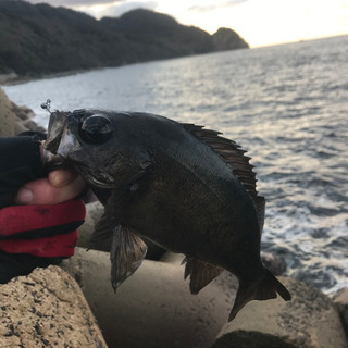 一緒に釣り行ってくれる方、釣りを教えてくれる方 募集 − 島根県