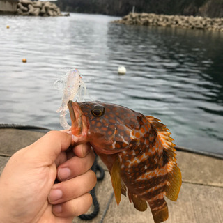 一緒に釣り行ってくれる方、釣りを教えてくれる方 募集 - メンバー募集
