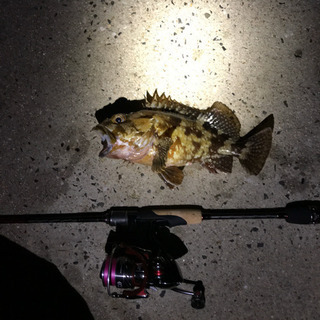 一緒に釣り行ってくれる方、釣りを教えてくれる方 募集 - 友達