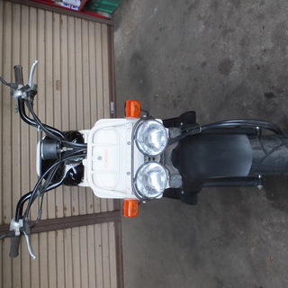 ズーマー５０CC　整備済み　の画像