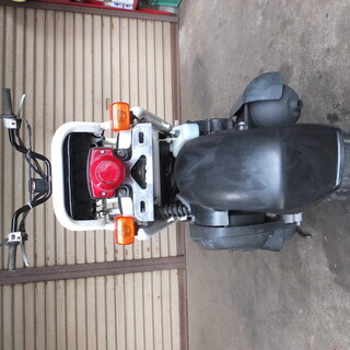 ズーマー５０CC　整備済み　の画像