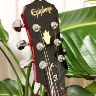 Epiphone エレキ ソリッドギターの画像