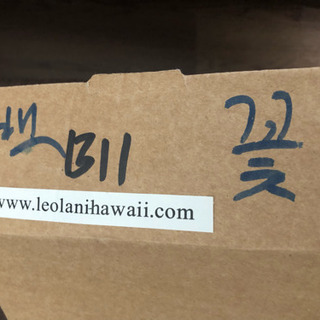 ウクレレ Hawaii