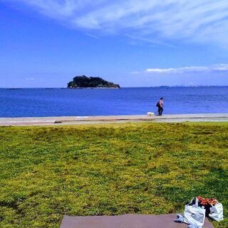 横須賀 うみかぜ公園ヨガ 生徒さん募集中の画像