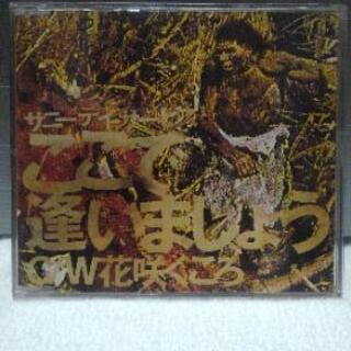 Sunny Day Service　ここで逢いましょう