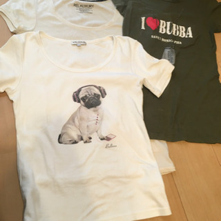 差し上げます　Tシャツ3枚セット