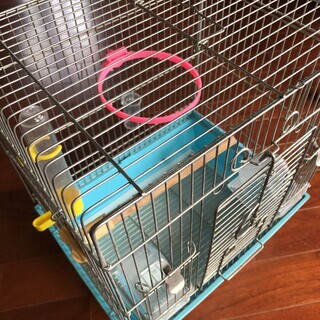ホーエイ HOEI　手のり　鳥籠　バードケージ