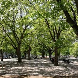 公園とか散歩したり写真撮ったりマッタリしませんか？ - 札幌市