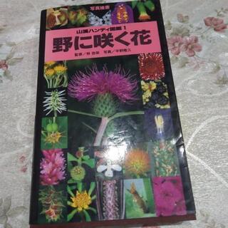 野に咲く花山渓ハンディ図鑑1