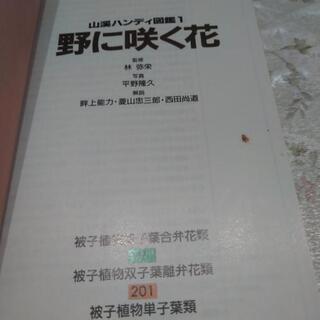 野に咲く花山渓ハンディ図鑑1の画像