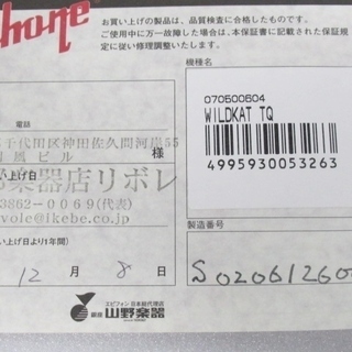 Epiphone エピフォン　WILDKAT　TQ　ターコイズ の画像