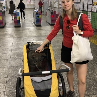 バーレー サイクルトレーラー テイル・ワゴン 自転車用トレーラー...