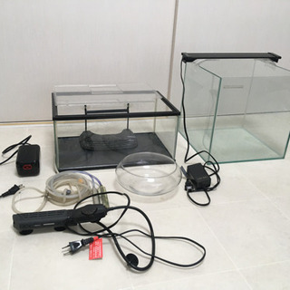 決まりました。水槽と付属品