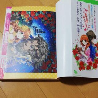 美女と野獣 小説の画像