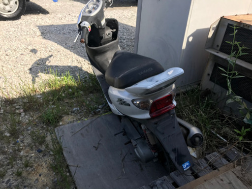 (交渉中)原付　ZR