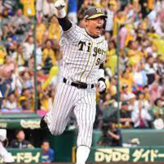 野球を観に行こう！