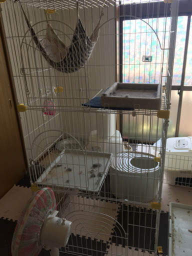 猫用ゲージ