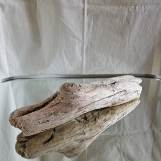 SEASIDEinterior★インテリアディスプレイに流木 22の画像