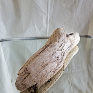 SEASIDEinterior★インテリアディスプレイに流木 22の画像