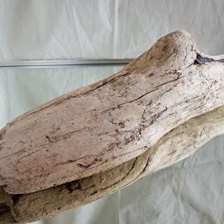 SEASIDEinterior★インテリアディスプレイに流木 22