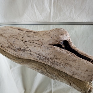 SEASIDEinterior★インテリアディスプレイに流木 22の画像