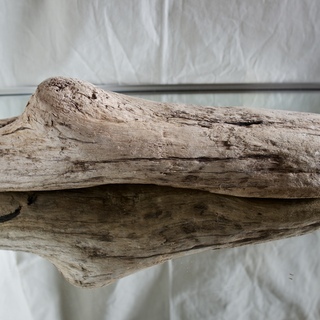 SEASIDEinterior★インテリアディスプレイに流木 22の画像