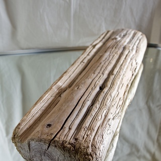 SEASIDEinterior★インテリアディスプレイに流木 25の画像